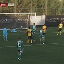 SK Rapid Vídeň - Bohemians Praha 1905 2:2 (0:1)