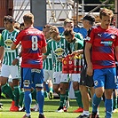 FC Viktoria Plzeň - Bohemians Praha 1905 1:1 (1:1)