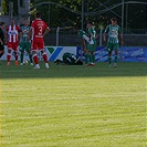 Bohemians Praha 1905 - FK Crvena zvezda Bělehrad 0:1 (0:0)