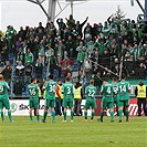 FK Mladá Boleslav - Bohemians Praha 1905 1:0 (1:0)