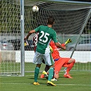 1.FC Norimberk - Bohemians Praha 1905 0:1 (0:0)