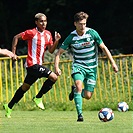 Bohemians - Viktoria ŽIžkov 2:0 (0:0)