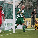 Michal Pávek se raduje z gólu.