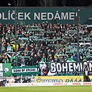 Bohemians Praha 1905 - FC Viktoria Plzeň 0:1 (0:1)