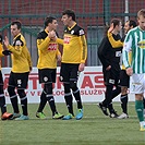 Tipsport liga: Bohemians Praha 1905 - SK Dynamo České Budějovice 2:2 (1:1)
