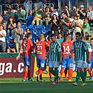 FK Viktoria Plzeň - Bohemians Praha 1905 5:0 (2:0)
