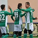 Bohemians Praha 1905 - FC Hradec Králové 2:1 (1:0)