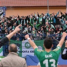 FC Vysočina Jihlava - Bohemians Praha 1905 1:2 (1:1)