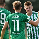 Sokolov - Bohemians 0:6 (0:2)