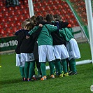 Bohemians 1905 - FK Viktoria Žižkov 1:2 (1:0)