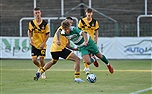B tým Klokanů podlehl německému Dynamo Dresden