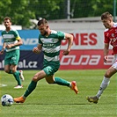 Bohemians - Pardubice 2:1 (1:0)