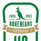 Výroční logo 110 let klubu
