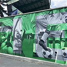 Zeď Ďolíčku zdobí nový mural